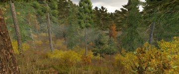 Ever-Green-Coast-v1.0-FS25-1-scaled.jpg