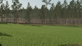 pinewood-forest-v1.2.1-3.jpg
