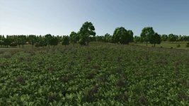 cheeky-badger-map-4x-v1.2.0.2-1.jpg