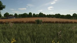 Cheeky-Badger-Map-4X-V1.2.0.1-FS25-2.jpg