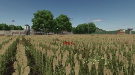 a-long-the-river-farm-v1.0-5.jpg