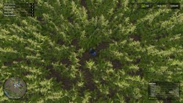 Riverbend-Springs-Cannabis-Edition-v1.2-FS25-4.jpg