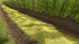 Riverbend-Springs-Cannabis-Edition-v1.2-FS25-1.jpg