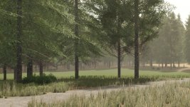 pinewood-forest-v1.5.1-3.jpg