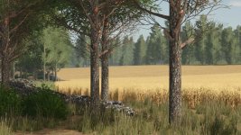 pinewood-forest-v1.5.1-2.jpg pinewood-forest-v1.5.1-2.jpg