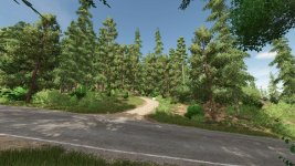 riverbend-springs-forest-v1.0.0.1-4.jpg