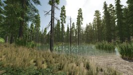 riverbend-springs-forest-v1.0.0.1-3.jpg
