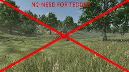 grass-to-hay-after-24-hours-beta-1.jpg