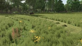 grass-with-dandelions-and-daisies-v1.0.0.2-1.jpg