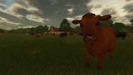 excess-animals-sold-v1.0-1.jpg