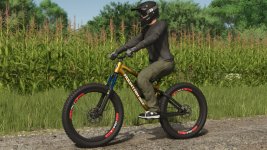 lizard-mountain-bike-v1.0-1.jpg