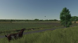 north-frisian-25-v1.0.1.1-5.jpg
