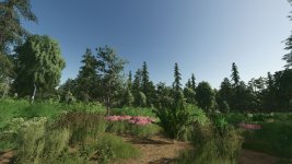 forest-valley-v1.0.1-4.jpg