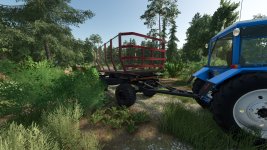 2pts-6-forest-v1.0-1.jpg