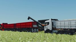 randon-rodotrem-bulk-carrier-v1.0-3 (1).jpg