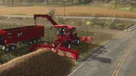 holmer-terra-felis-3-evo-v1.0-2.jpg