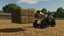 Pallet-Fork-v1.0-FS25-1.jpg