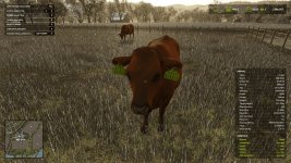 realistic-livestock-v1.0.1.1-1.jpg realistic-livestock-v1.0.1.1-1.jpg