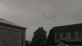 real-sky-v1.0-3.jpg