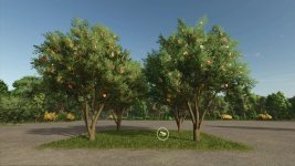 apple-tree-v1.0-4.jpg