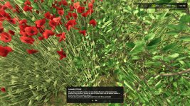 armeus-map-v1-v2.0-5.jpg