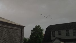 real-sky-v1.1-1.jpg