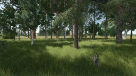 new-trees-types-2B-new-tree-limit-v1.1-1.jpg
