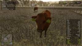 Realistic-Livestock-V1.0.0.1-FS25-3.jpg Realistic-Livestock-V1.0.0.1-FS25-3.jpg