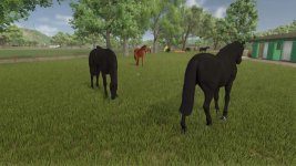 auto-horse-care-v1.0-2.jpg