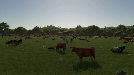 more-visual-animals-v1.0-2.jpg