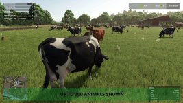more-visual-animals-v1.0-1-1.jpg