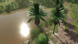 coconut-trees-v1.0-3.jpg