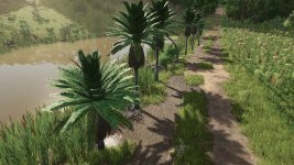 coconut-trees-v1.0-2.jpg