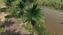 coconut-trees-v1.0-1 (1).jpg