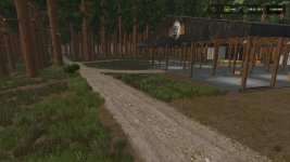 sequoia-forest-v1.0-4.jpg