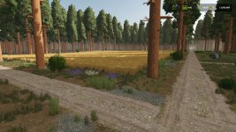 sequoia-forest-v1.0-3.jpg