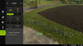 all-decorative-foliage-v1.0-2.jpg