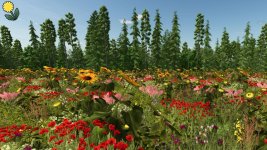flowering-catch-crop-28prefab-29-v1.0-4.jpg