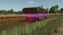 romanian-bale-trailer-pink-v1.0-3.jpg