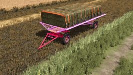 romanian-bale-trailer-pink-v1.0-2.jpg
