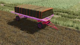 romanian-bale-trailer-pink-v1.0-1.jpg