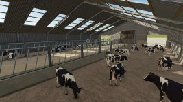 large-uk-indoor-cow-barn-v1.0-3.jpg