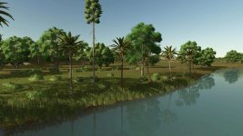 lapacho-palms-v1.0-3.jpg