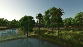 lapacho-palms-v1.0-2.jpg