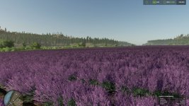silverrun-forest-multifruit-edition-v1.1-3.jpg silverrun-forest-multifruit-edition-v1.1-3.jpg