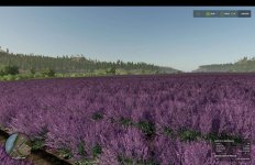 silverrun-forest-multifruit-edition-v1.1.0.1-1.jpg silverrun-forest-multifruit-edition-v1.1.0.1-1.jpg