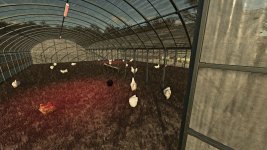 old-greenhouse-chicken-coop-v1.0-2.jpg