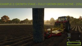 faster-growing-trees-v1.0-3.jpg