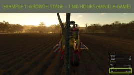 faster-growing-trees-v1.0-1.jpg