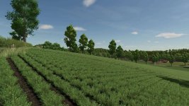 map-feliz-v1.4.0.2-2.jpg map-feliz-v1.4.0.2-2.jpg